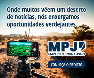 /apidata/imgcache/676934f3b347bb11ac29e12aa7bbf424.jpeg?banner=col4&when=1769313804&who=213